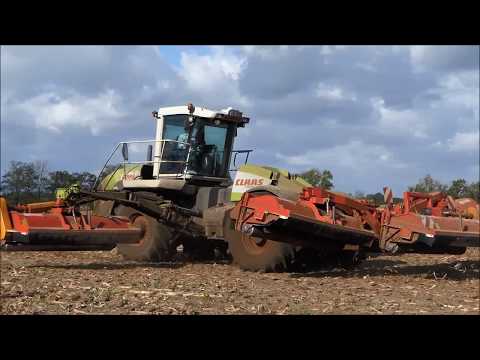 Claas Cougar 1400 / Maisernte 2017