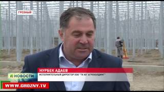 В Ленинском районе Грозного продолжается строительство тепличного комплекса 