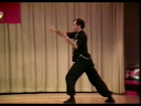 Kung Fu Masters - Eagle Claw, Praying Mantis, Shing-Yi -1988