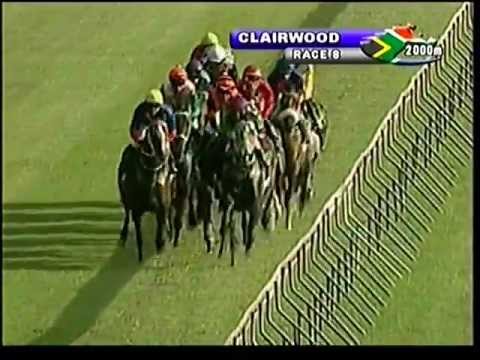 2013-03-31 Clairwood - race 8
