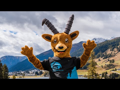 «Capri» auf dem Weg an die WOC 2023 | WOC 2023