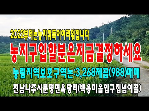 집너머골 영상