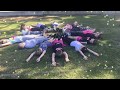 Get Back Up Again Music Video SUPERSTARS Holiday Camp