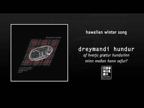 dreymandi hundur - hawaiian winter song
