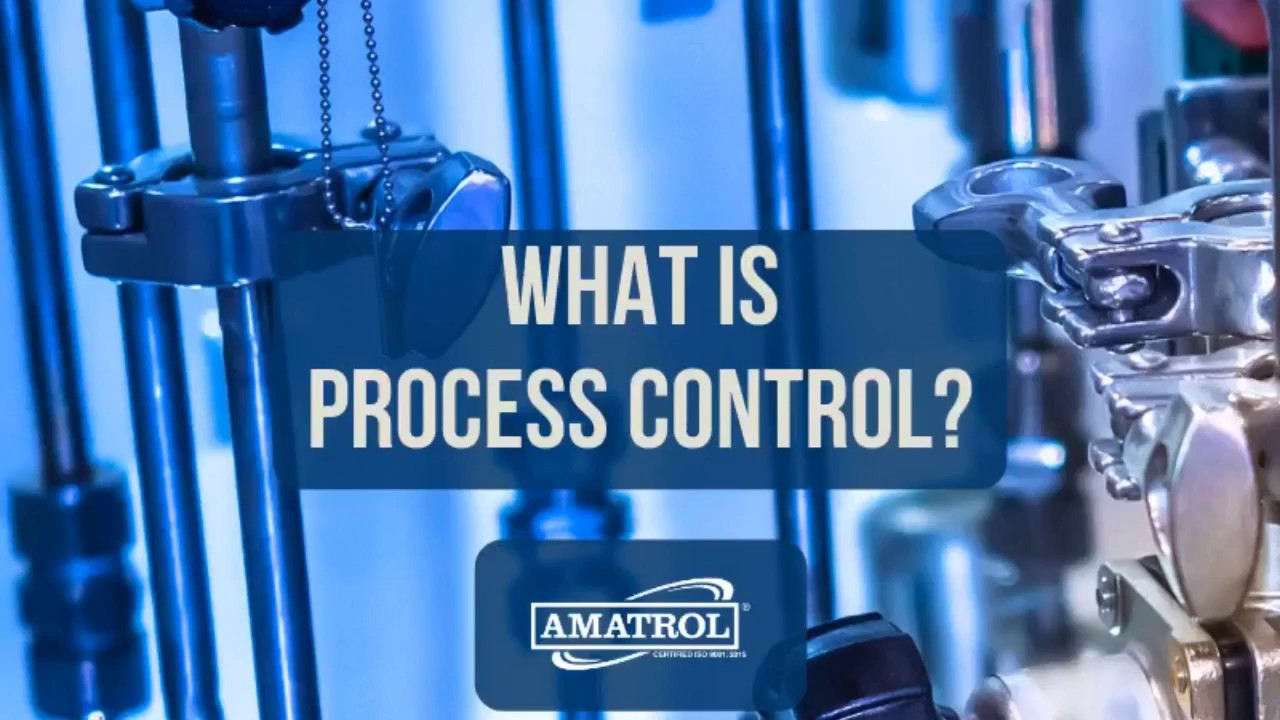 What are processing controls?