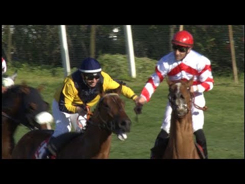 129' Premio Pisa day