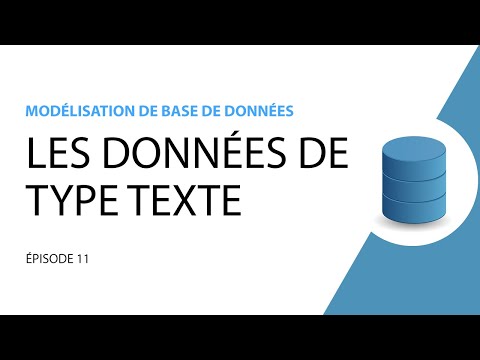 Modélisation de base de données 11 Données de type texte