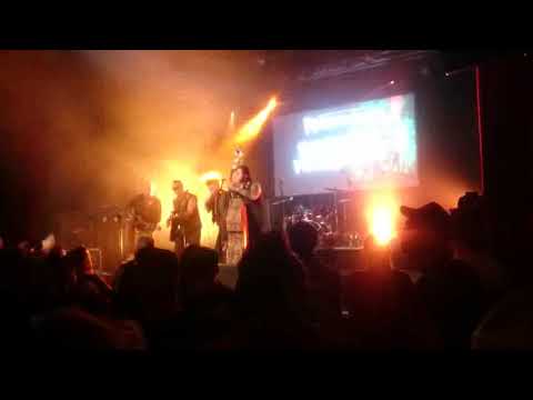 Demented Hillbillies   Old Black Joe