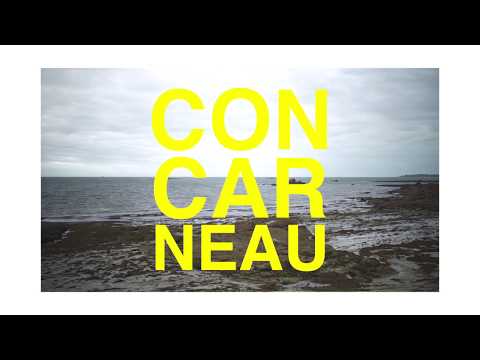 Sanseverino & Tangomotán - La tournée !