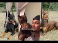 Knox Dog And Suavexavier Funniest Dog 2025