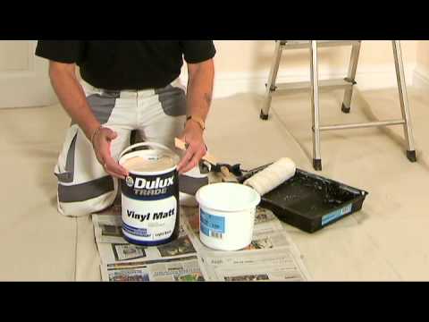 Dulux decorative paint for walls & ceilings