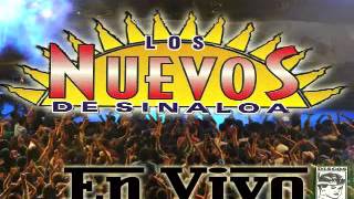 018 A La Sombra De Un Nogal - Los Nuevos De Sinaloa En Vivo