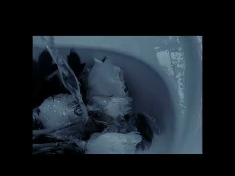 summertime sadness x another love [tiktok version]