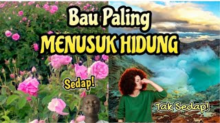 Download lagu Tempat BerBAU Paling Menusuk Hidung Di Dunia | SMELLIEST Places on Earth mp3