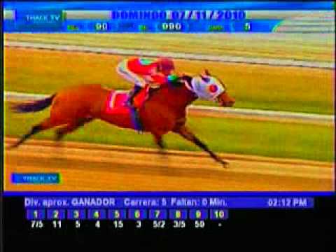 Domingo, 07 de Noviembre de 2010 - La Rinconada