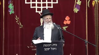 שעורים לתשעה באב | בית כנסת היכל יעקב | הרבשמוא אליהו | ט' אב תשפ"ד (הרב שמואל אליהו) - התמונה מוצגת ישירות מתוך אתר האינטרנט יוטיוב. זכויות היוצרים בתמונה שייכות ליוצרה. קישור קרדיט למקור התוכן נמצא בתוך דף הסרטון