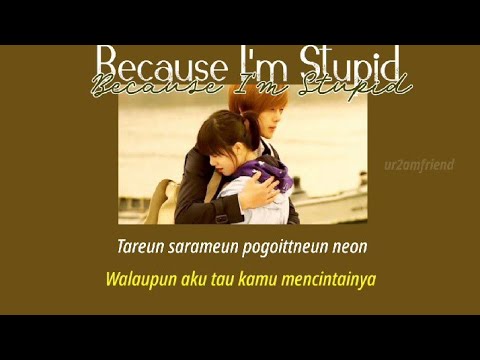 [OST Boys Over Flowers] SS501 - Because I'm Stupid (Indonesia Terjemah)