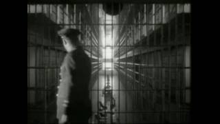 OMD Genetic Engineering