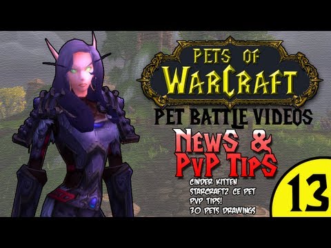 Pet Battles Mists of Pandaria PTR 5.1 Cinder Kitten & PVP Tips! Pets of WarCraft Video 13