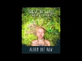 Trevor Hall - Wish Man (With Lyrics) 