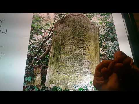 Horacio the handsnake - Arthur Nichols (steward)