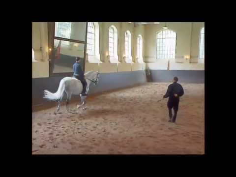 Condé Reitseminare - korrekte Ausbildung von Pferd und Reiter