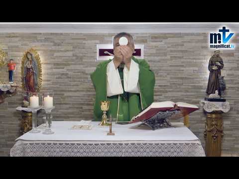 Santa Misa de Hoy | Miércoles, XXII Semana del Tiempo Ordinario (02-09-2026) | Pbro. Santiago Martín, FM