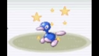 [LIVE] Shiny Porygon 2 in Pokemon Emerald Battle Pyramid!