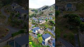 Download lagu Jelajahi Lembah Bunga Plum yang Mirip Negeri Bunga Persik Ini Bersama Kami #home #courtyarddesign mp3 Download lagu Jelajahi Lembah Bunga Plum yang Mirip Negeri Bunga Persik Ini Bersama Kami #home #courtyarddesign mp3