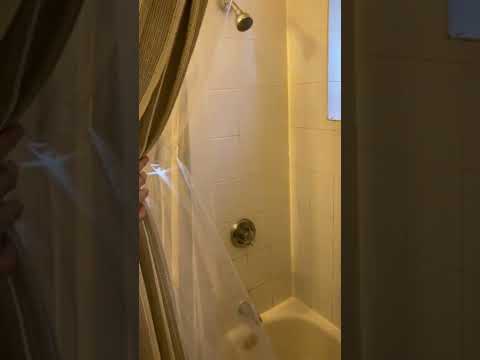 61 Selkirk Rd. — Brighton