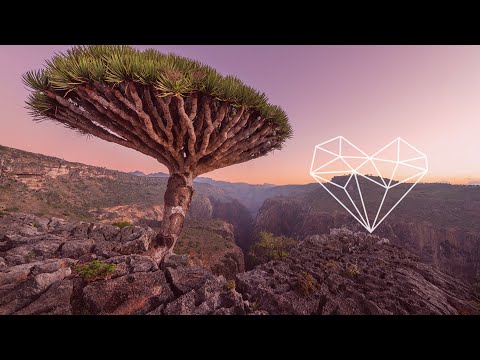 Acado, Vincent Marlice - Como Te Llamai (Kermesse Remix) [Downtempo / A Tribe Called Kotori]