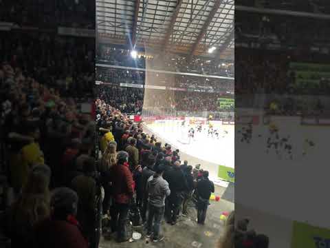 SC Bern Game 2019