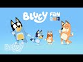 Yes No Q A Bluey