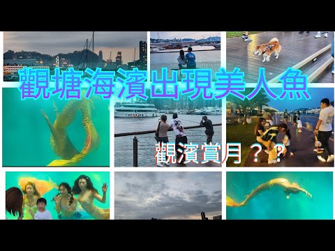 觀塘海濱公園追月 #香港水下表演藝術團 MFI人魚與水舞國際表演 #觀濱 #美人魚  #中秋節  #賞月