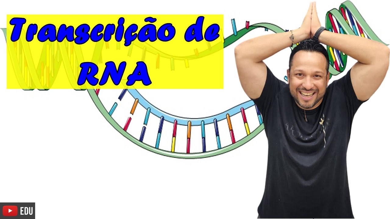 Transcrição de RNA ou Síntese de RNA - Conceito e Processo - Genética Molecular - Bioquímica