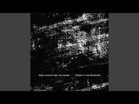 Wish I Could See You Again