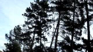 Franco Micalizzi-Italia A Mano Armata