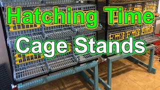 Hatching Time Cage Stands - Easy Build