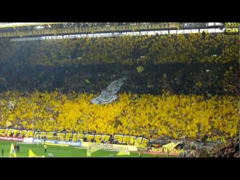 Der Muri - Schwarz und Gelb (BVB Borussia Dortmund Fansong)