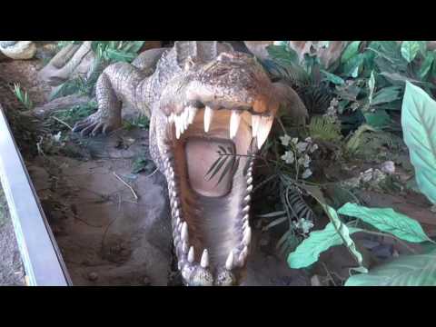 Dinos sind in der Stadt