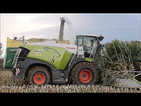 New Claas Jaguar 980 Type 498 SHREDLAGE Special Edition - Gruppo PEA - Chopping corn 2018