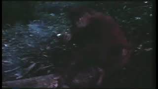 Download lagu Bego Jangan ngerokok nanti jadi Goblog. Tarsan Kota. mp3 Download lagu Bego Jangan ngerokok nanti jadi Goblog. Tarsan Kota. mp3