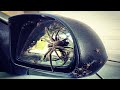 Remove spider & web from car door mirror - simple solution!