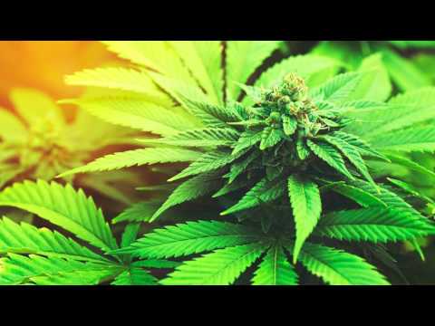 Lasse K - elämä on parasta huumetta