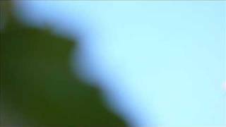 BEN WEBSTER & DEXTER GORDON.Blues in f.