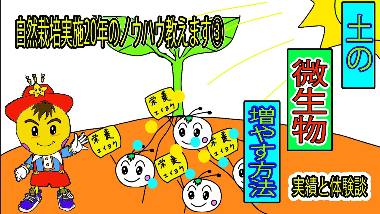 自然栽培の土と微生物の真実