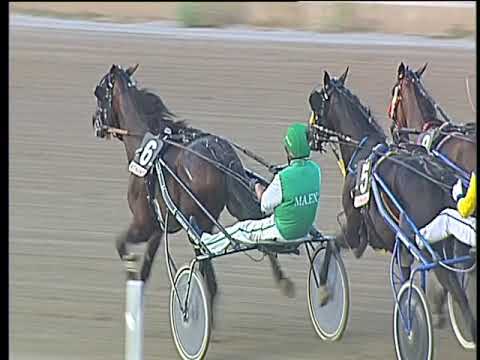 Trotto 14/07/2017 - 2ª corsa