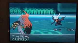 ファイアロー ポケットモンスター チゴラス カミツルギ ホルビー