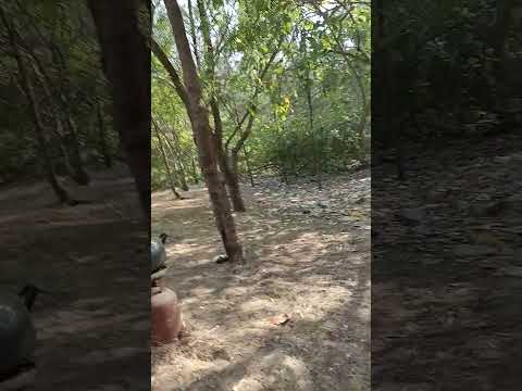 Travel to Jahania beach ! still continued ! youtube shorts