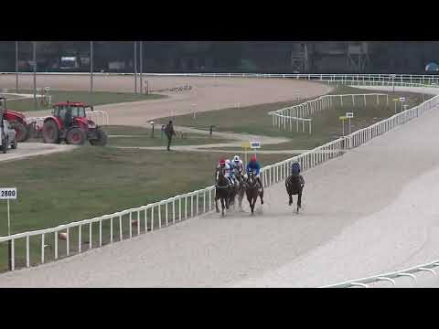 2020.12.27. 06. futam - SZUNYOGH ISTVÁN EMLÉKVERSENY HENDIKEP (Elit o.) (szintetikus pálya)